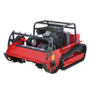 AMD-R100